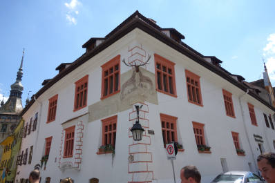photo 1353391