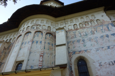 photo 1353425