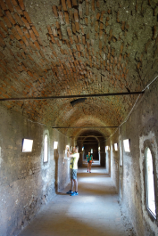 photo 1354054