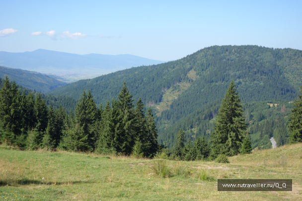 photo 1354076