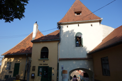 photo 1354110
