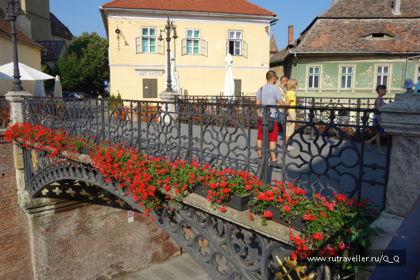 photo 1354113