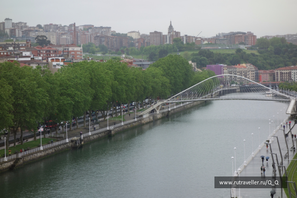 photo 1481961