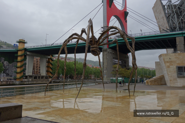 photo 1481962