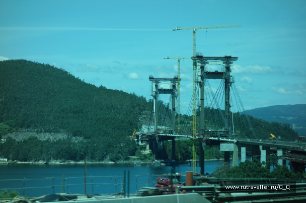 photo 1482016