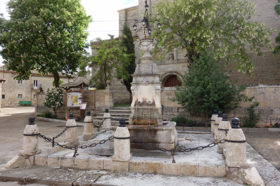 photo 1482041