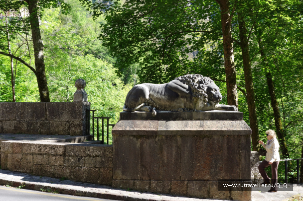 photo 1482050