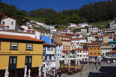 photo 1482345