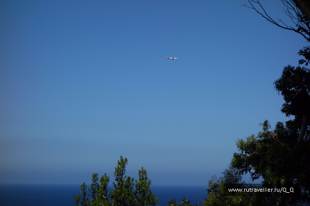 photo 1482347