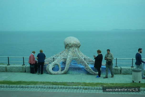 photo 1482351