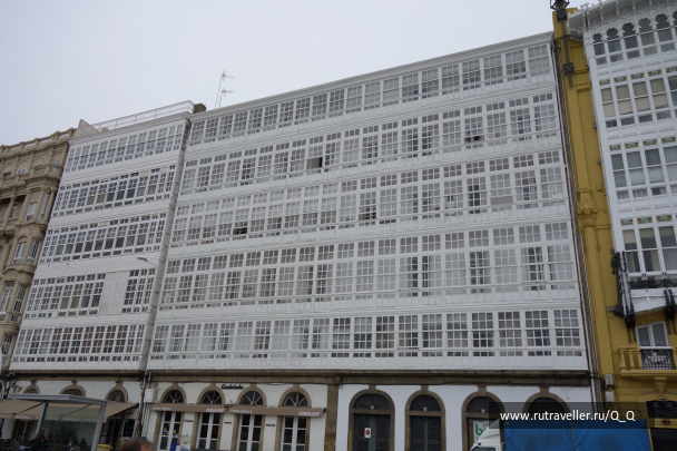 photo 1482385