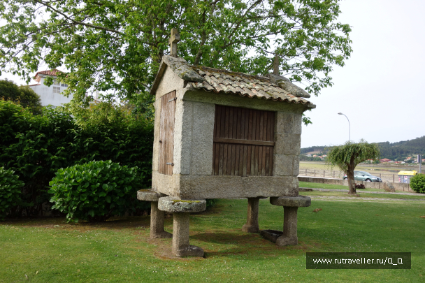 photo 1482513