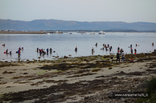 photo 1482514