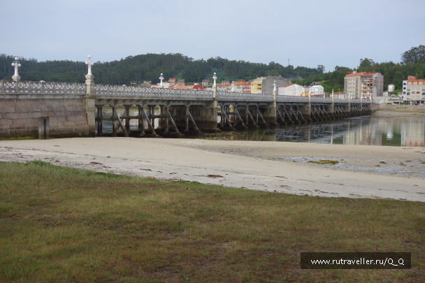 photo 1482515