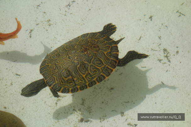 photo 1488191