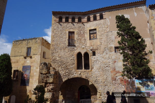 photo 1488214