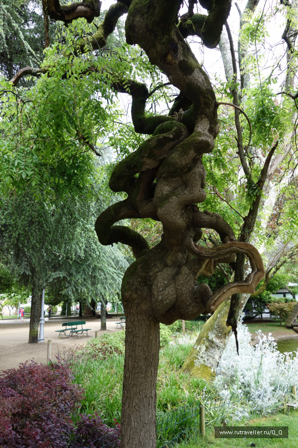photo 1489179
