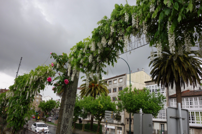 photo 1489181