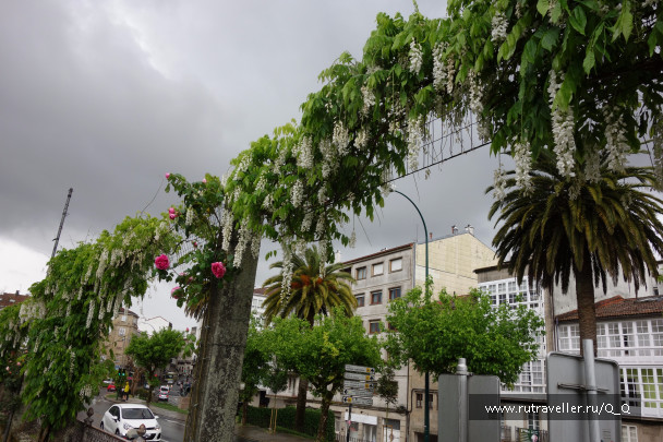 photo 1489181