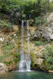 photo 1545250