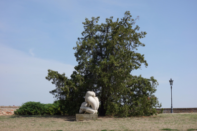 photo 1545862
