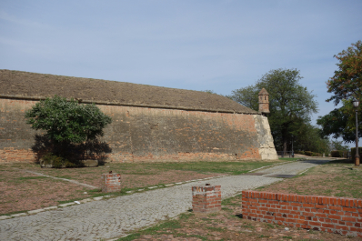 photo 1545873