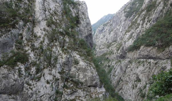 DSC09436