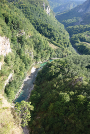 photo 1545268