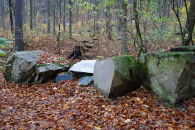 photo 1565372