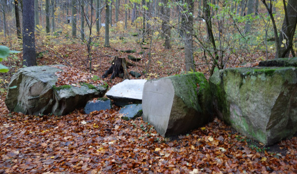 DSC00181