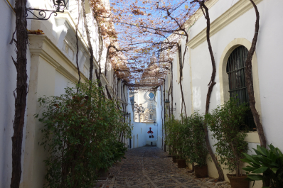 photo 1591830
