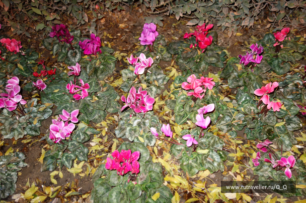 photo 1592341