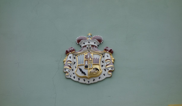 DSC02520