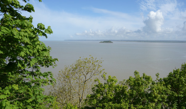 DSC04263