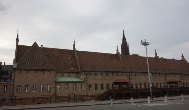 DSC03387