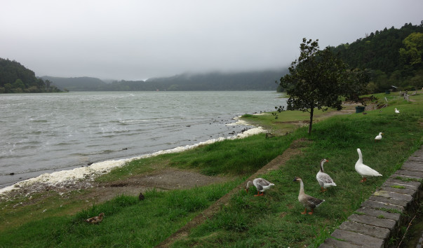 DSC07207