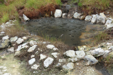 photo 1683146