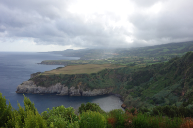 photo 1683159
