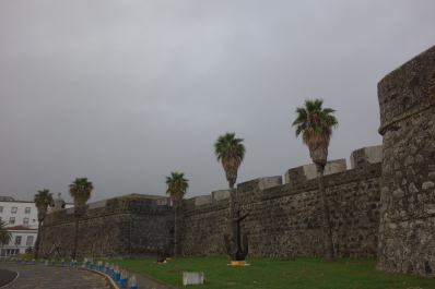 photo 1683166