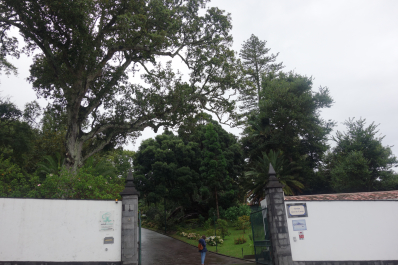 photo 1683248