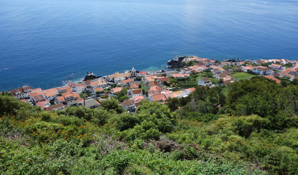 DSC06179