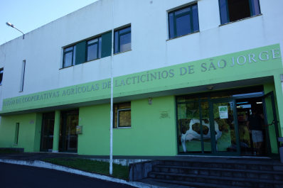 photo 1684935