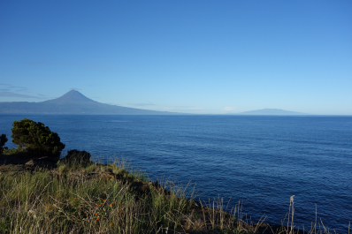 photo 1684938