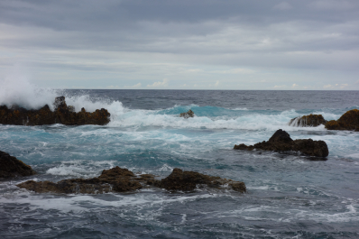 photo 1685431