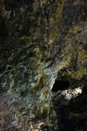 photo 1685438