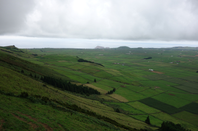 photo 1685464