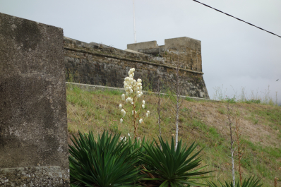 photo 1685473