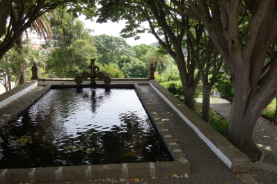 photo 1685511