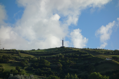 photo 1688135