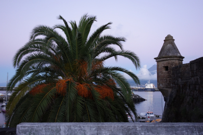 photo 1688143
